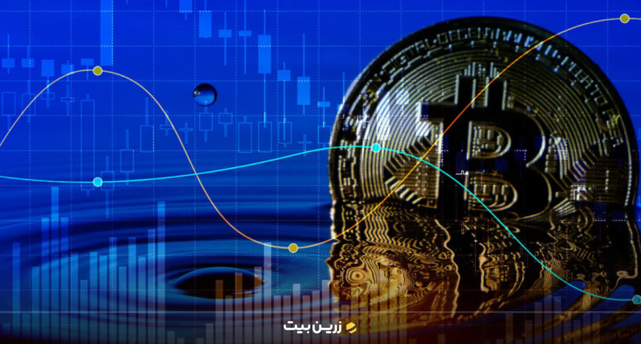 نقش هولدرها در بازار بیت کوین